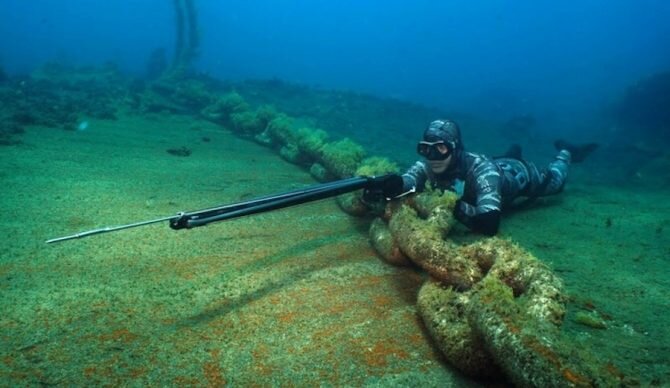 Diver waiting in lay underwater with a speargun in hand | © www.sportsmanboatsmfg.com/blog